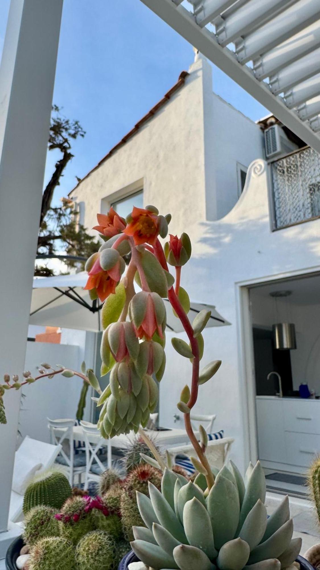 Villa Casa Blu Marbella Exterior foto